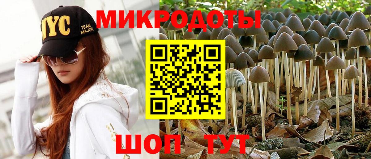 Псилоцибиновые грибы Psilocybine cubensis Ухта