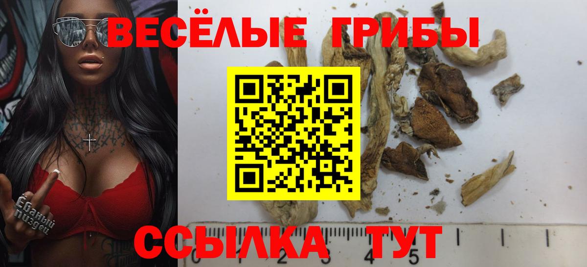 Галлюциногенные грибы MAGIC MUSHROOMS  Вход с VPN  Ухта 